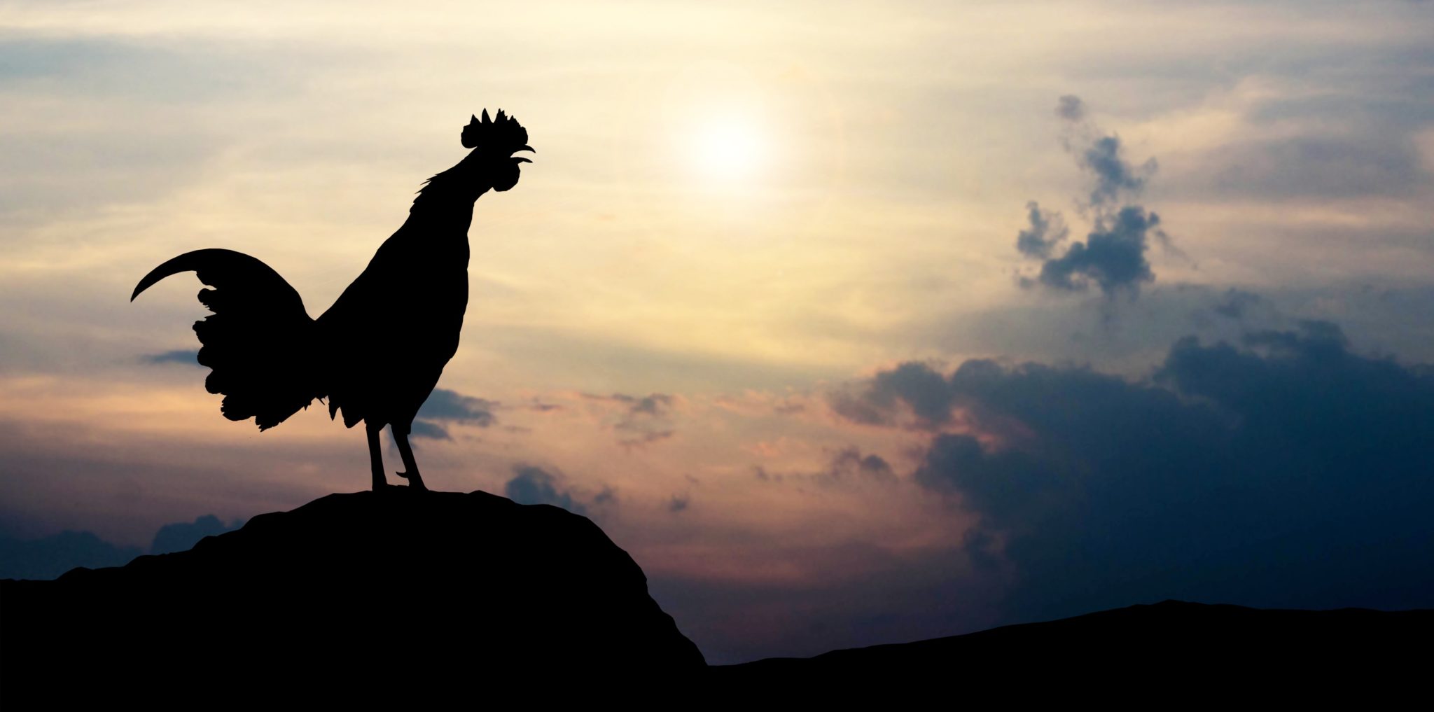 The Rooster Crowed Twice ... - Be Great: Discover Greatness in God